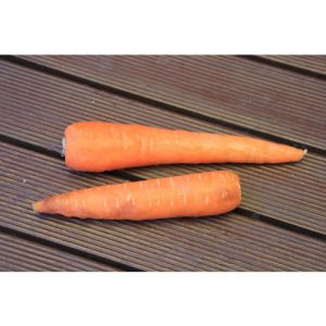 Carrot, All Seasons
